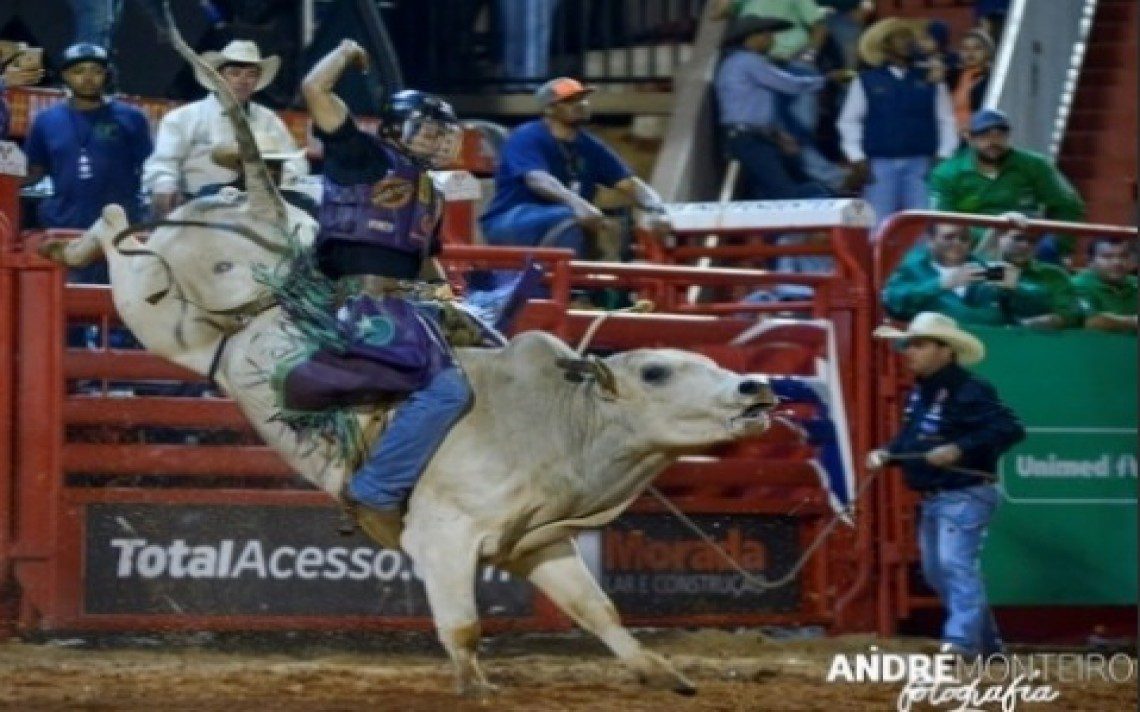 Rodeio, a estrela da Festa do Peão de Barretos - Cavalus