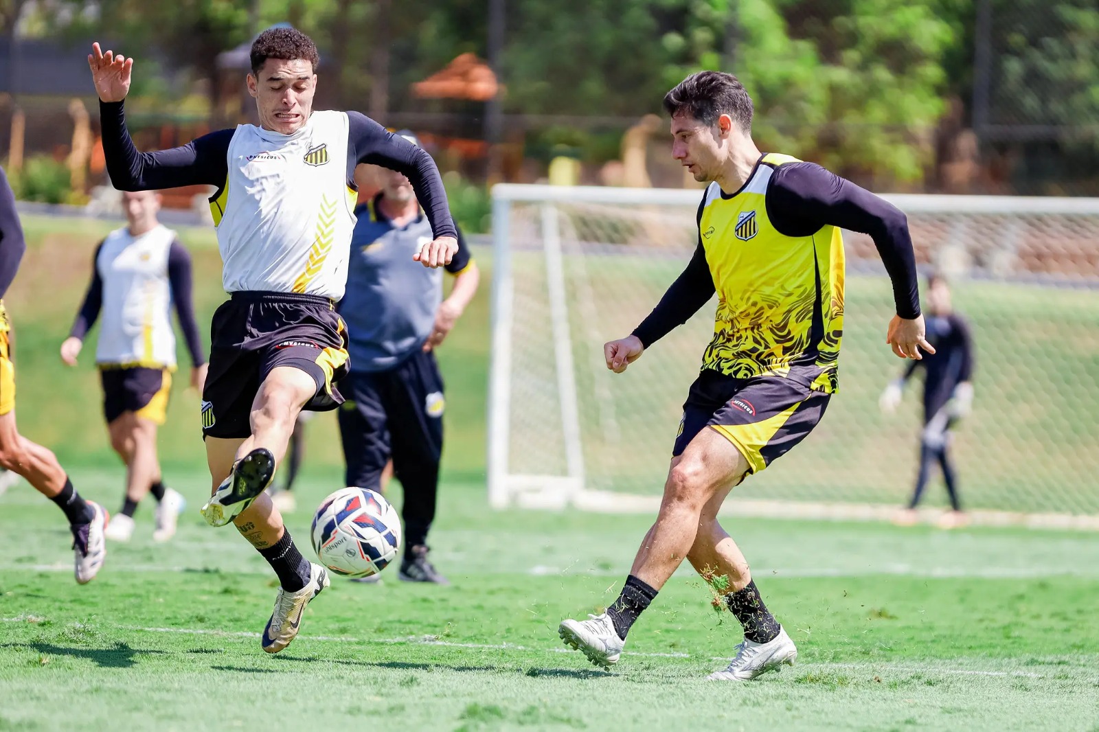 Novorizontino vence Ferroviária de virada na Série B e avança no Brasileirão